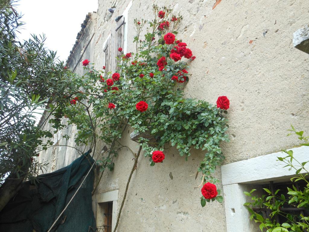 Albergo Mio Lazise Cameră foto